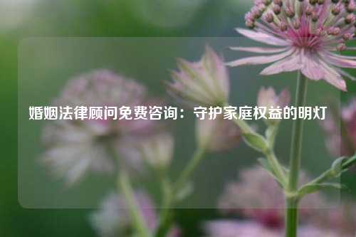 婚姻法律顾问免费咨询：守护家庭权益的明灯